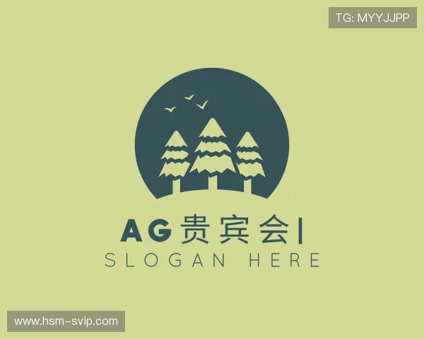 解读AG贵宾会集团